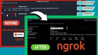 how to install Ngrok in kali linux | Fix All bugs and errors while installing the Ngrok in kali