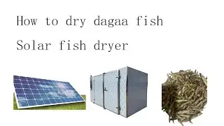 How to dry dagaa fish |dagaa dryer| Anchovies Dryer |Small fish drying machine |Solar fish dryer