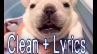Pibble Theme With Lyrics + Clean