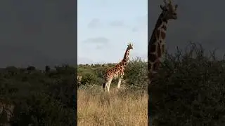 Virtuoso First Look - &Beyond Suyian Lodge, Kenya