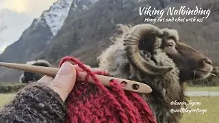 Viking Nalbinding with Karin & Greg (and Karl!), Week 39