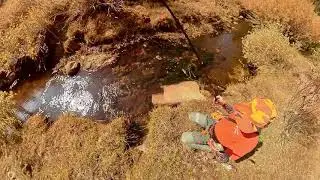 Catching Golden Trout at the Tanuki Ninja Boot Camp