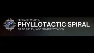 God Rolls For Phyllotactic Spiral PVP/PVE Crafting Guide