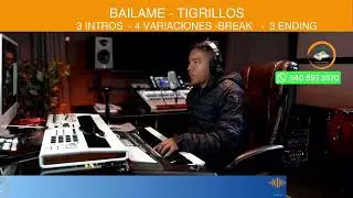 BAILAME TIGRILLOS RITMOS KORG PA