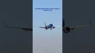 Southwest Airlines Boeing 737 Max 8 landing at Los Angeles (LAX)!