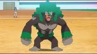 VGC 23 Reg D - How to Use Rillaboom!