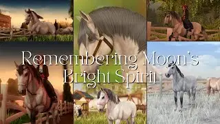 Remembering Moon’s Bright Spirit II realistic roleplay star stable online #79