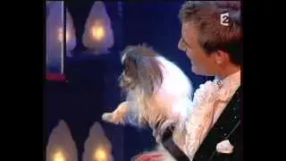 Zauberer, Zaubershow von Zauberk&uuml;nstler und Magier Zyculus, First-Class Showact f&uuml;r Event