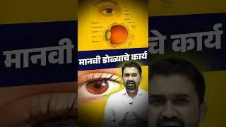 मानवी डोळ्याचे कार्य #eyes #shorts #viralvideo #mpscscience #education #rajyasevascience #mpsc #yt