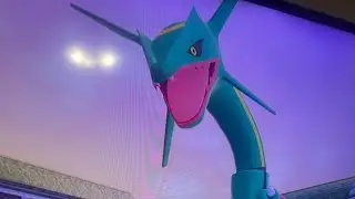 Pok&eacute;mon za hyper space shiny hunt part 5 double shiny dragons 