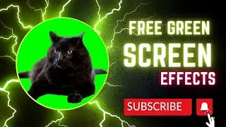 Green Screen Cat Video| Free Green Screen Effects | green screen