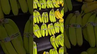 My Must Buy at every shopping #shopping #shoppingvlog #adorablekitchen #food #fruits #vegetable