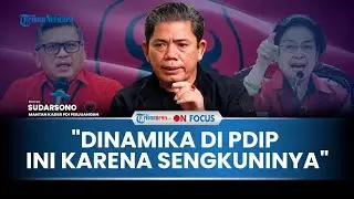 [FULL] Kritis Berujung Dipecat, Sudarsono Wanti-wanti PDIP: Petaka Terlalu Korbankan Diri ke Hasto