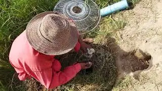best creative unique komodo dragon trap