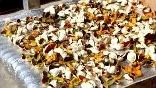 果皮 Dried mandarin peel