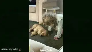 When Your Baby and Little Dog Hold a Personal Exchange 🐾😆