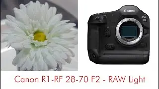 Canon R1 Rf28 70 f2 RAW light