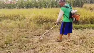MESIN BABAT DAMEN TERCANGGIH DAN TERTANGGUH @