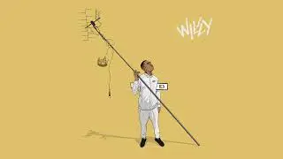 Wiley - WD25