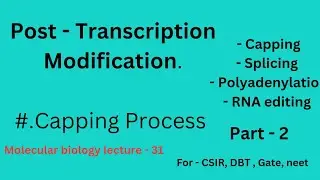 Post Transcription Modification | RNA Processing | Capping | Splicing | Polyadenylation| RNA editing