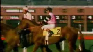 Affirmed victorious in the 1979 Hollywood Gold Cup