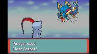 Pokemon Run&Bun - Elite Four