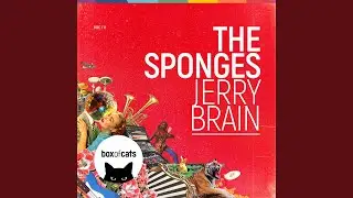 Jerry Brain