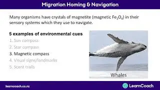 NCEA Biology L3 : Migration, homing, and navigation