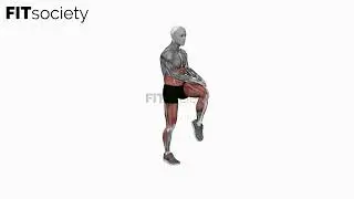Bodyweight Knee Thrust - Exercise - Fitness Oefening - Fitsociety