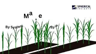 Global Precision Planting Market Size, Share, Demand