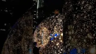 Sydney Vivid Lights Festival! | #Pchamling