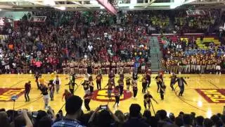 Schaumburg High School Staff Fizzlers- Homecoming 2015!