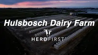 Hulsbosch Dairy Farm HerdFirst Testimonial