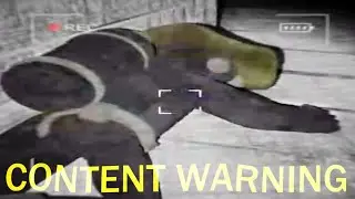 The Content Warning Experience