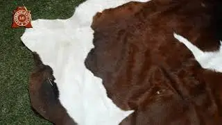 Premium Quality Tricolor Cowhide Rug - Natural Hair on Leather ( 6 X 6 ft) Same As Picture