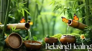 Relaxing Music for Sleep & Healing + Water Sounds 🌿 Calm Mind, Stress Relie