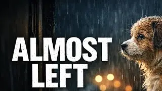 The Night He Almost Left 🐶 | A Wordless Cinematic Puppy Story
