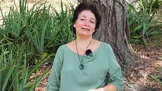IFAP 2026 - Secteur Examens et Concours avec Marie-Noëlle