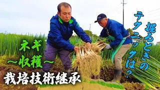 【農作業】スーパー指導員による栽培技術動画「ネギ～収穫～」
