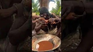 Hadzabe tribe ancient instincts &mdash; hunting wild pigs like our ancestors #africa #wildlife #culture