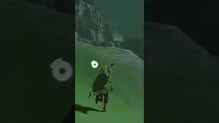 The goat got the last laugh #zelda #botw #breathofthewildclip #zeldabotw