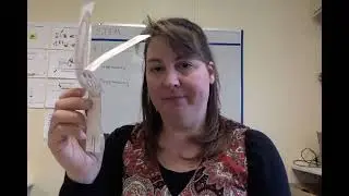 Bunny copters extension   grades 3 & 4