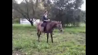 Provazov&aacute; uzdečka při pr&aacute;ci na j&iacute;zd&aacute;rně
