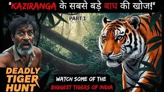 KAZIRANGA के सबसे बड़े TIGER की खोज! EP-1 Kaziranga National Park Tour | Kaziranga Vlog | #tiger
