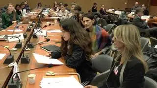 ISRAEL'S AMBASSADOR AND RONIT RAPHAEL INITIATES A UN DISCUSSION OF SEXUAL CHILD ABUSE mp4 zcqvoi5