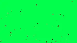New ROSE Leaves Falling Green Screen