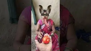 FUK FUK FUKREY #funny