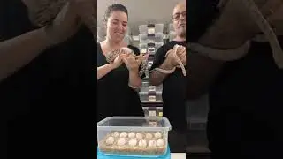 Live du mercredi 3 septembre 2025