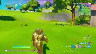Full gold meowscles