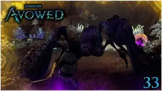 Limpieza de la Mina de Ara&ntilde;as - Avowed: Camino de los Malditos - 33